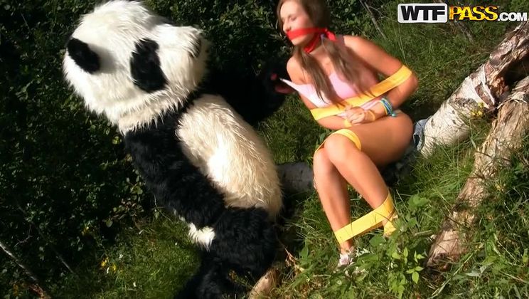 Wild sex to award a hero panda